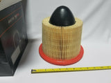 Auto Extra 619-46418 Air Filter, SKBAWA-s035