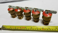 Lot of 5 - Wilkins 3/4" P1000A-150C Pressure Relief Valve, Brass, SKBAWA-C029