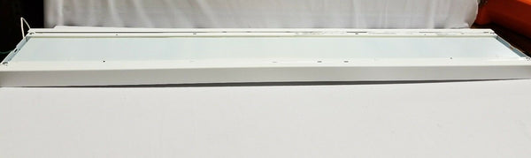 Philips Ledalite 7406LACQN041DEW 4'×8" lighting Panel, SKBAWA-000